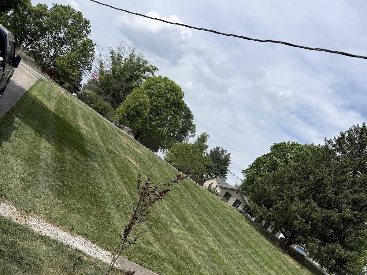 A steep front lawn freshly mown in even stripes running across the slope, with trees and open sky behind it.